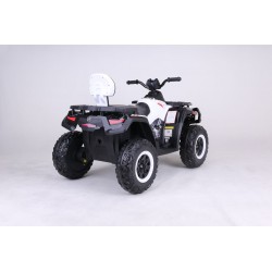 Quad Ataa Hunter Quad Ataa Hunter