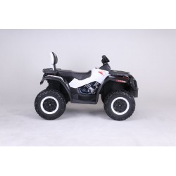 Quad Ataa Hunter Quad Ataa Hunter